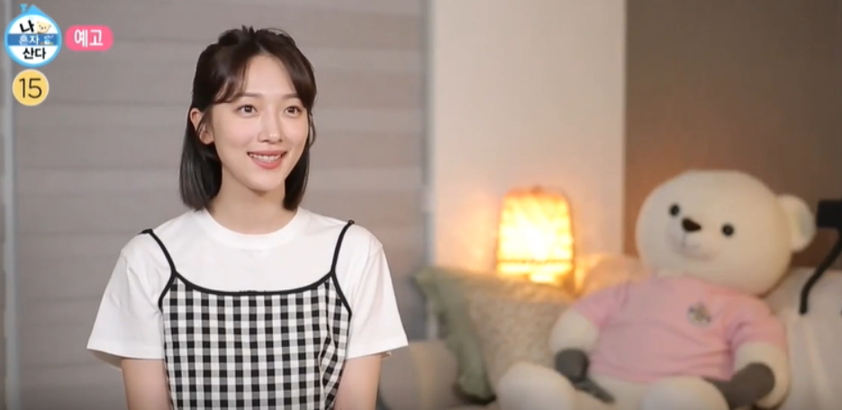  표예진 나이 프로필 경력 대한항공 승무원 복층 위치 주소 가격