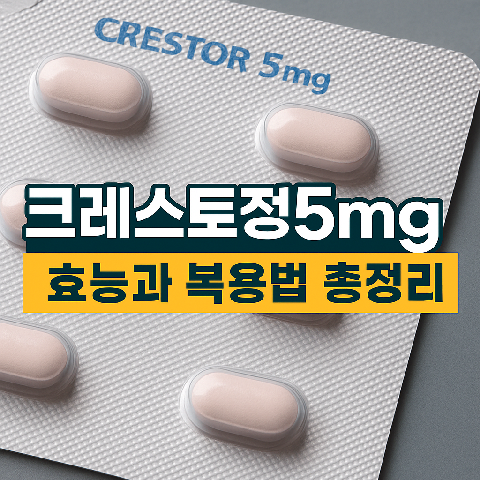 크레스토정5mg 효능과 복용법 총정리