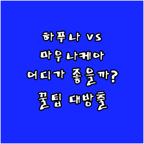 더 웨스틴 하푸나 비치 리조트, 마우