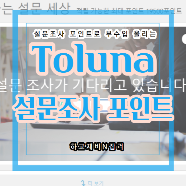  부수입 만들기 : 토루나 toluna 자투리시간 설문조사로 돈벌기