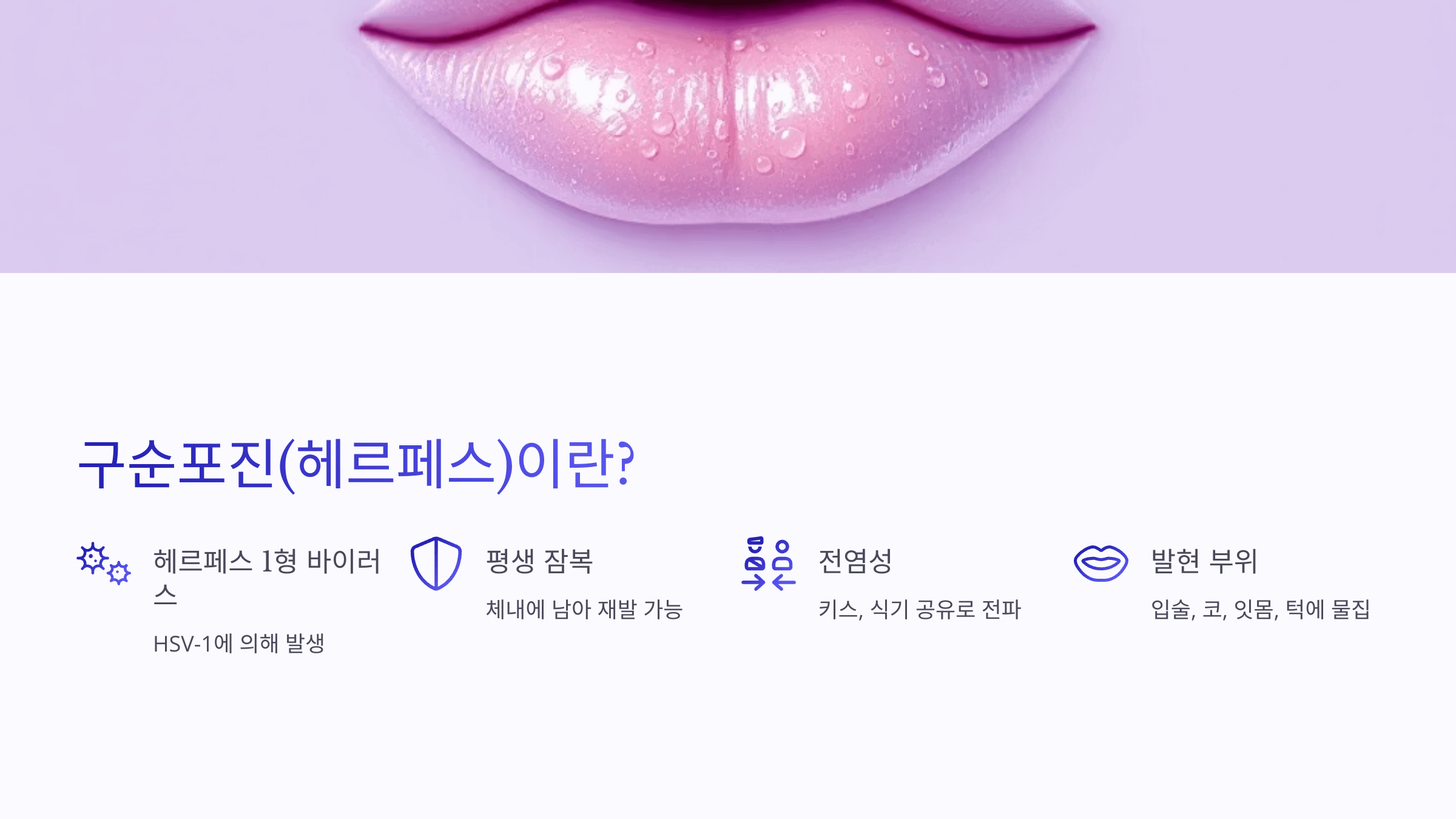 입술 사진입니다.
