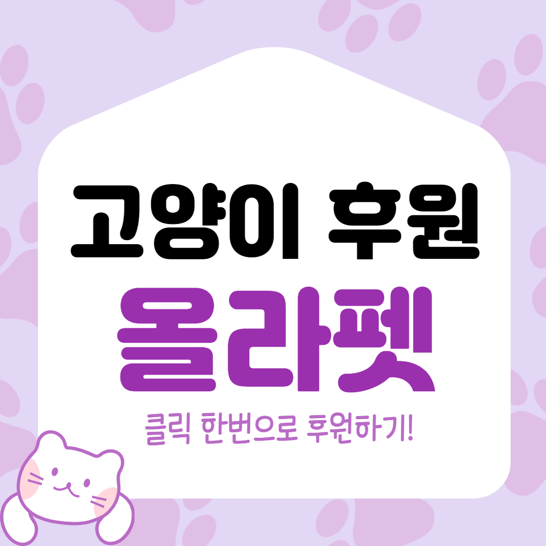  고양이 후원 올라펫으로 간편하게 해보세요!