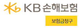 KB 실손보험