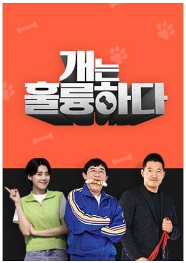 개는 훌륭하다 재방송 다시보기(1회~102회)