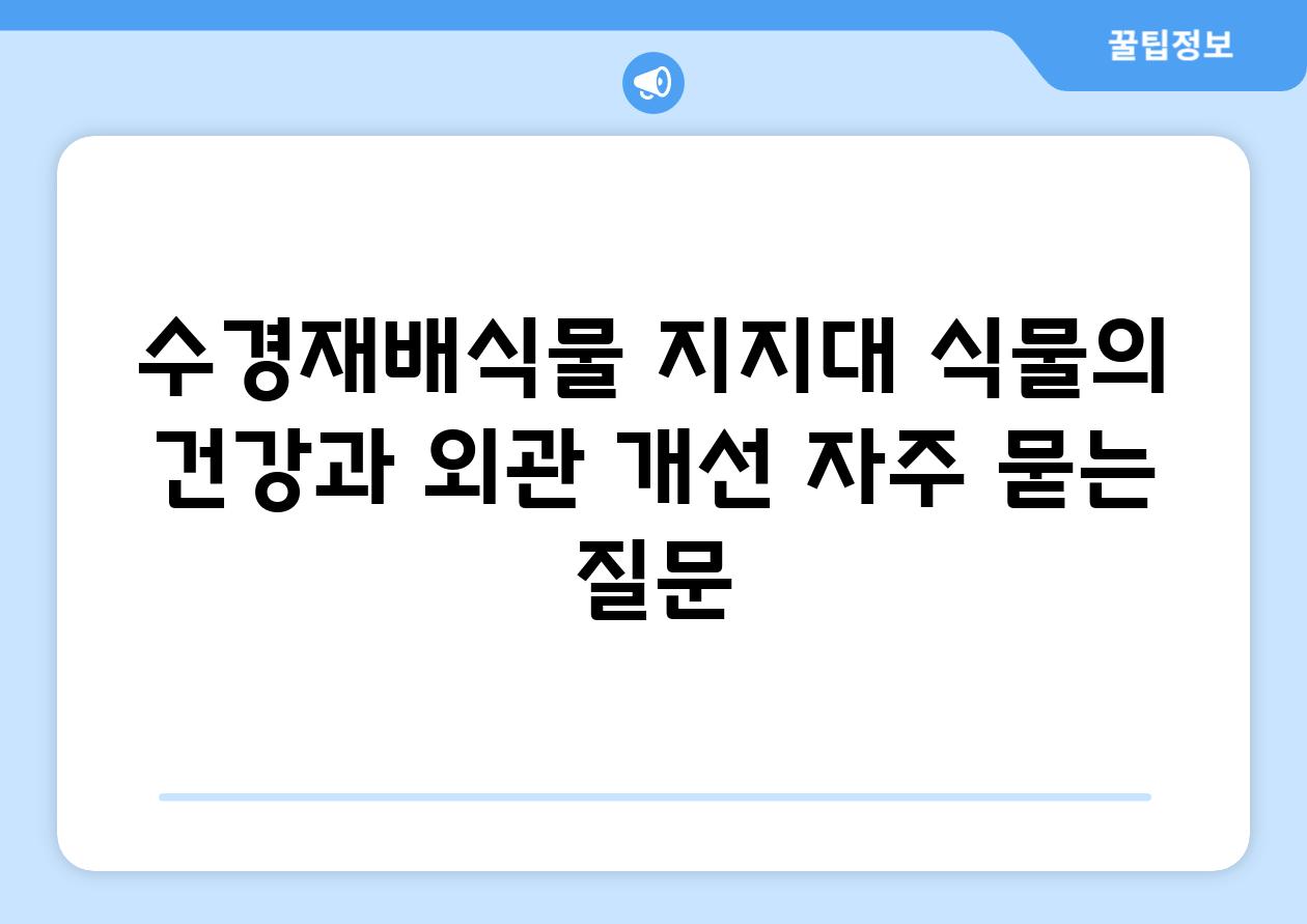 수경재배식물 지지대: 식물의 건강과 외관 개선