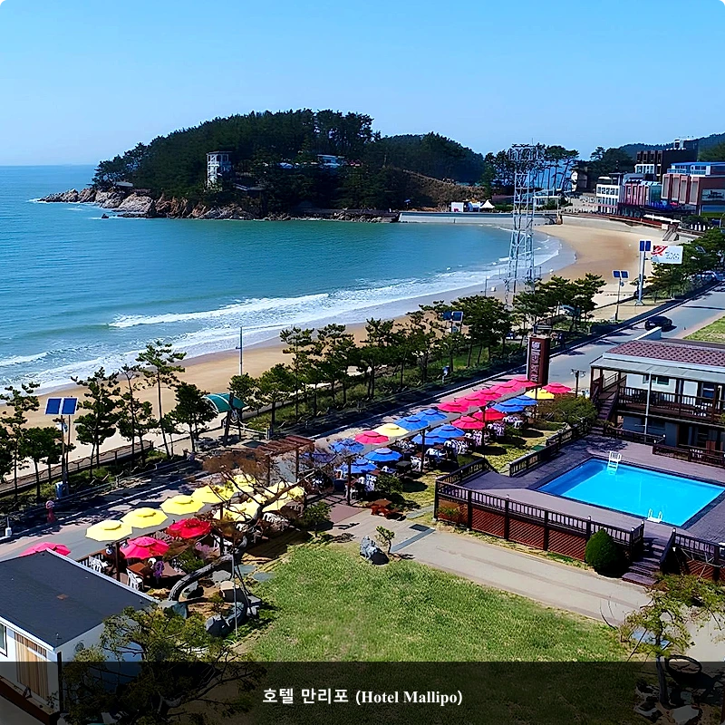 호텔 만리포 (Hotel Mallipo)_1