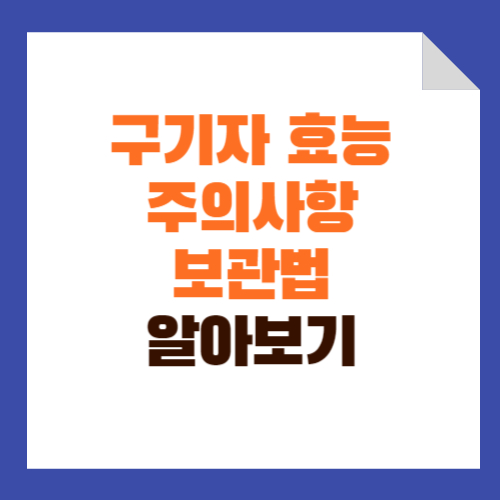 구기자 효능 보관방법