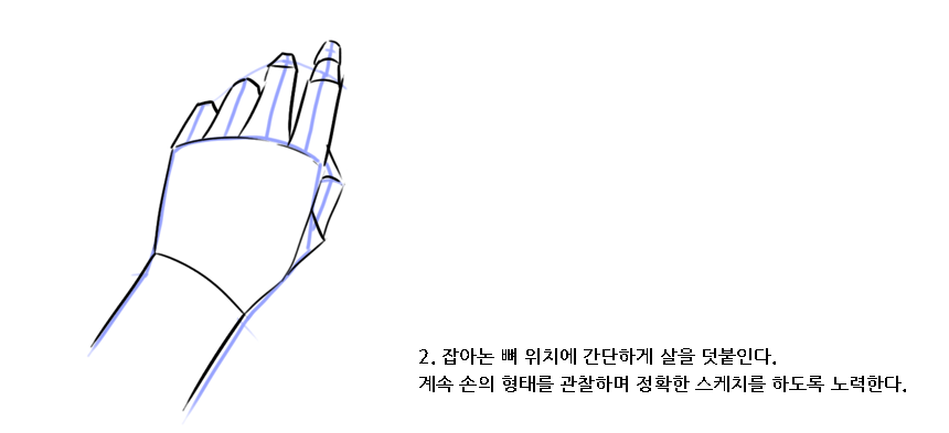 손그리기2-뼈대에손가락스케치
