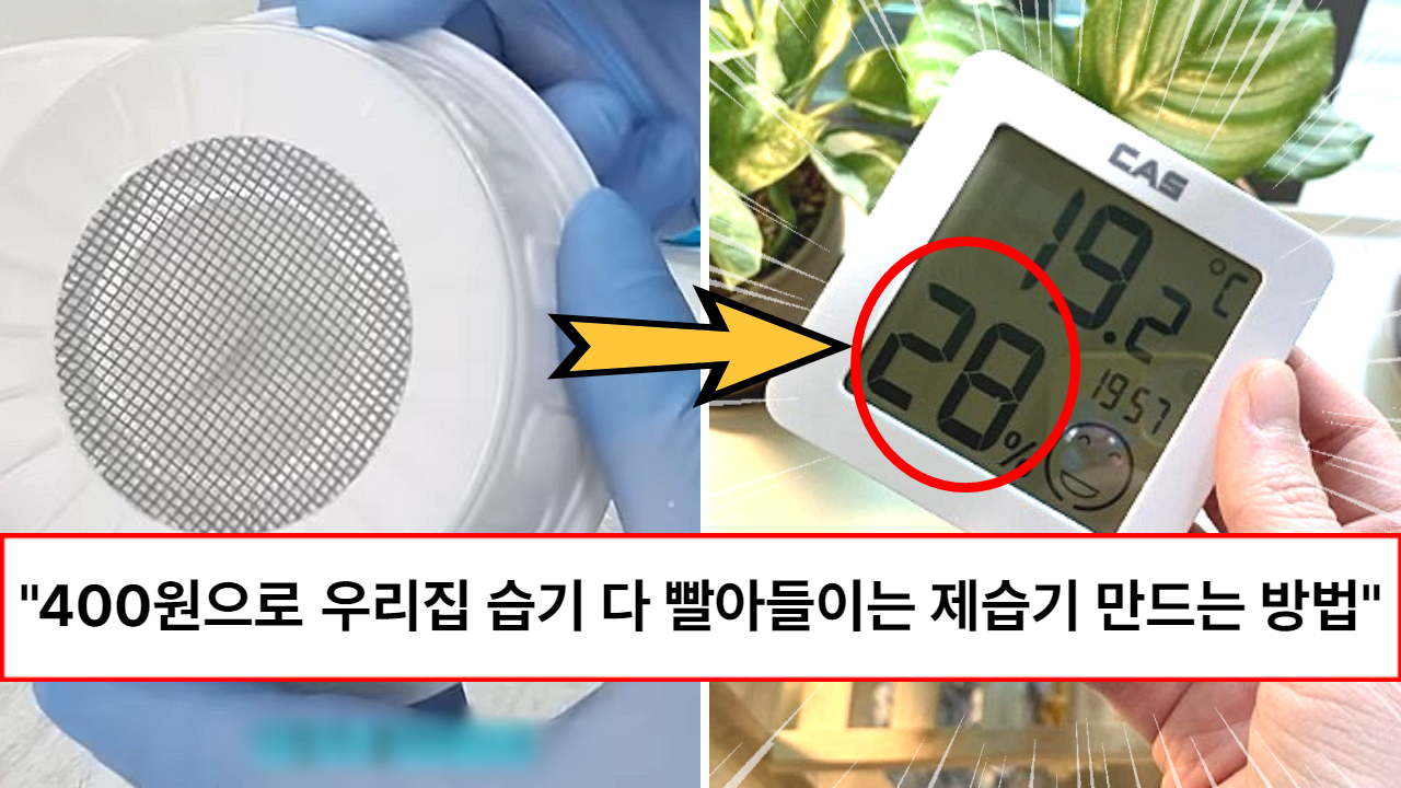 “비싼 돈주고 절대 새로 사지마세요” 꿉꿉한 장마철 제습기 없이도 뽀송하게 지낼 수 있는 제습기 만드는 방법 “비싼 돈주고 절대 새로 사지마세요” 꿉꿉한 장마철 제습기 없이도 뽀송하게 지낼 수 있는 제습기 만드는 방법