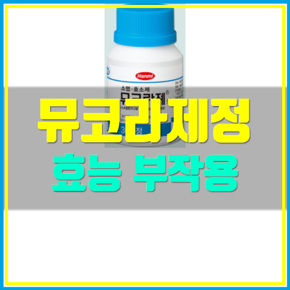  뮤코라제정 의약품 정보