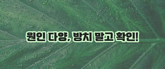 한쪽 발등 부음 원인과 치료 방법 확실히 알아봐야 합니다.
