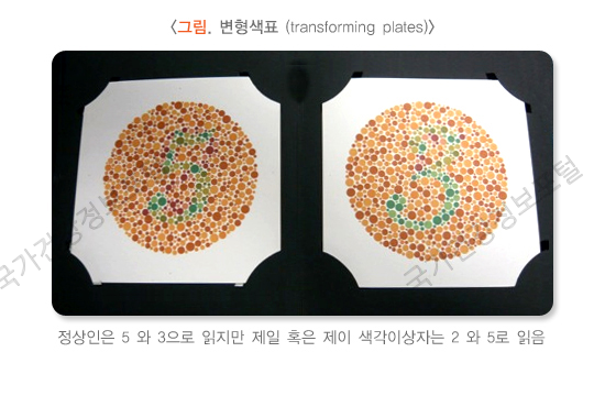 변형색표 (transforming plates)