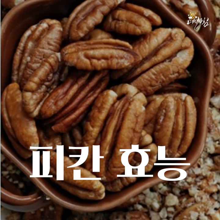  [매일아침좋은글] 피칸 효능에 대한 정보와 부작용을 알고 드세요~