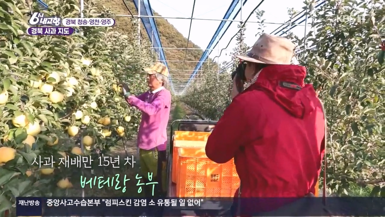 6시 내고향.E7907.231108p.H264-F1RST.mp4_20231108_204110.170.jpg