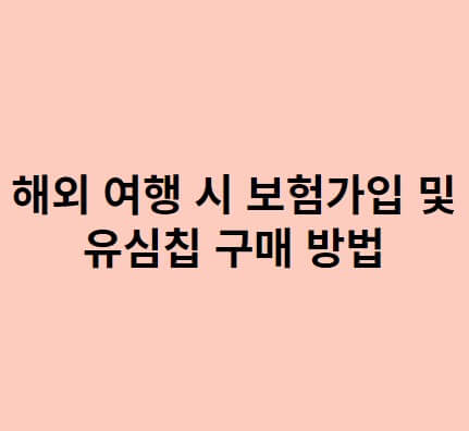 해외 여행 시 보험가입 및 유심칩 구매방법