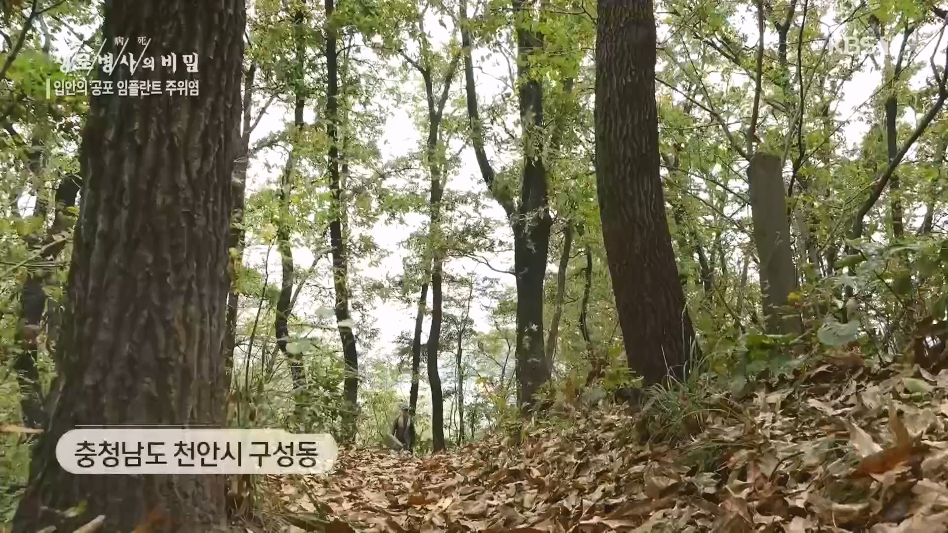 생로병사의 비밀.E890.231213p.H264-F1RST.mp4_20231214_201919.590.jpg