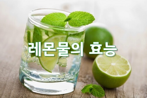 레몬물의 효능
