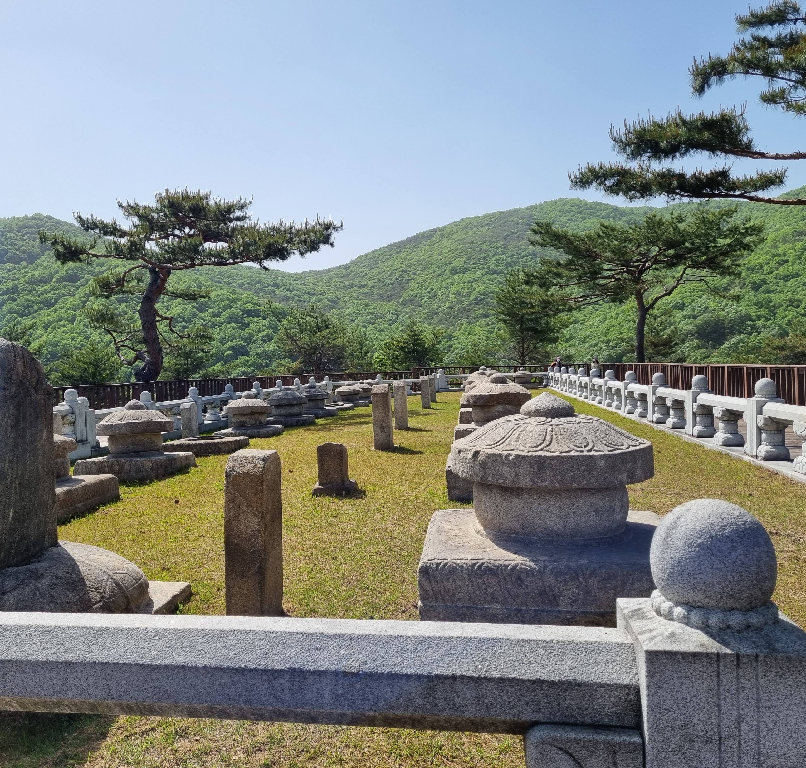  꼭 가봐야 하는 풍수지리 최고 명당 경북 성주 세종대왕 왕자 태실(feat. 갤러리카페소풍)