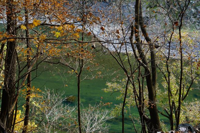 단풍나무 사이로 보이는 깊어보이는 강물&#44; 건너편 주상절리(절벽) 40~50m 높이&#44;
