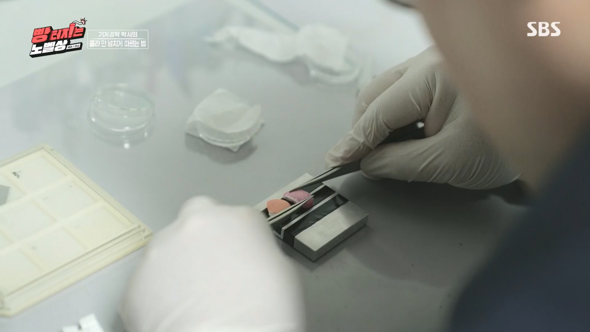 SBS 스페셜.최종.E659.231112p.H264-F1RST.mp4_20231114_204730.799.jpg