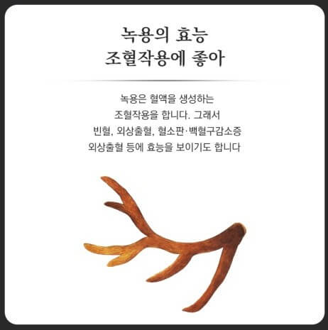  녹용 효능 및 부작용 자세하게 알아보기