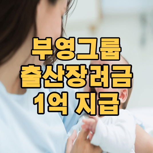 직원복지 부영그룹 신생아 출산장려금 1억원 지급