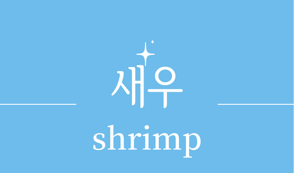 &#39;새우(shrimp)&#39;