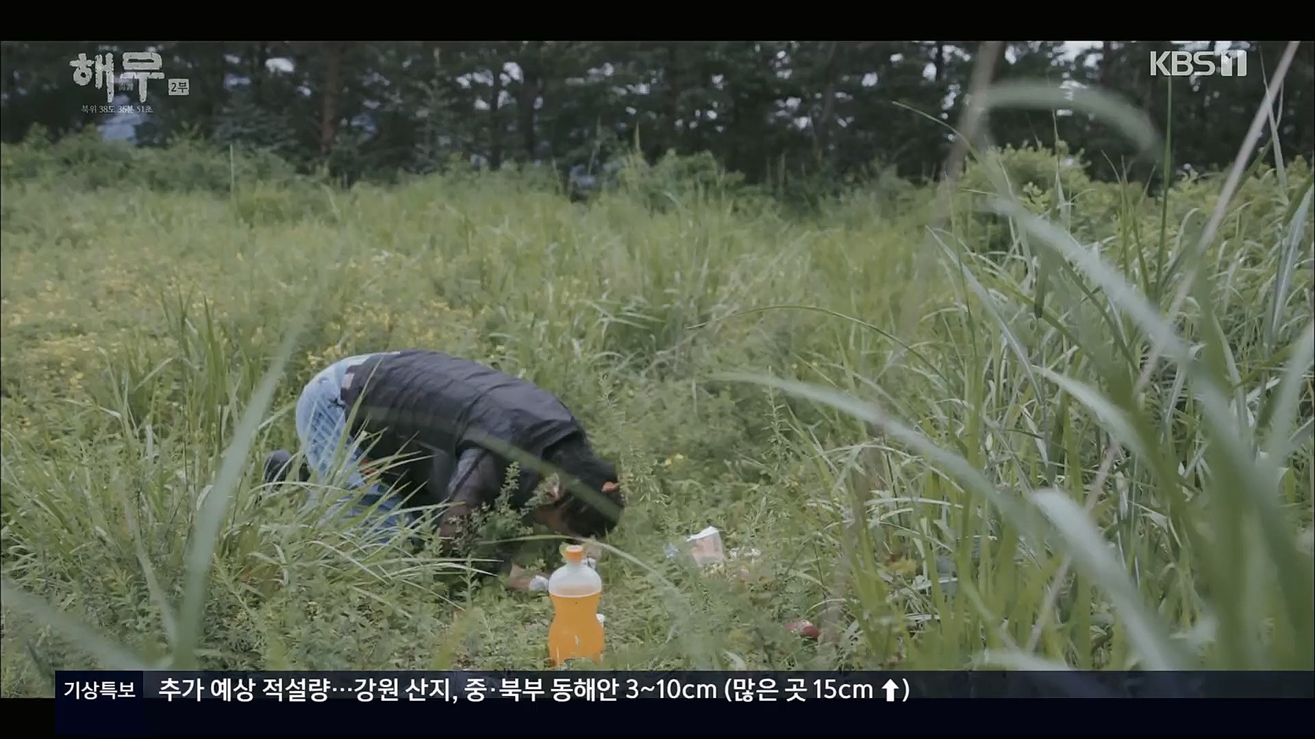 KBS 특집 다큐멘터리 해무.E02.230115p.H264-F1RST.mp4_20230116_195638.023.jpg