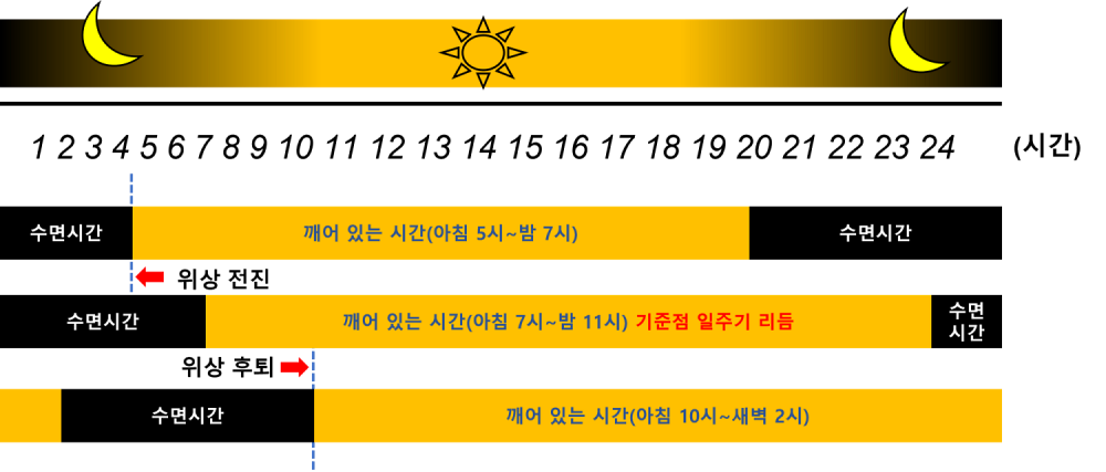 일주기 리듬의 위상 전진 및 후퇴