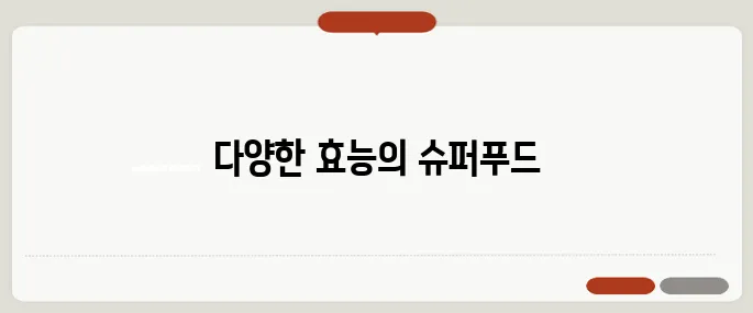 렌틸콩 효능 정리 단백질 풍부한 다이어트 식재료