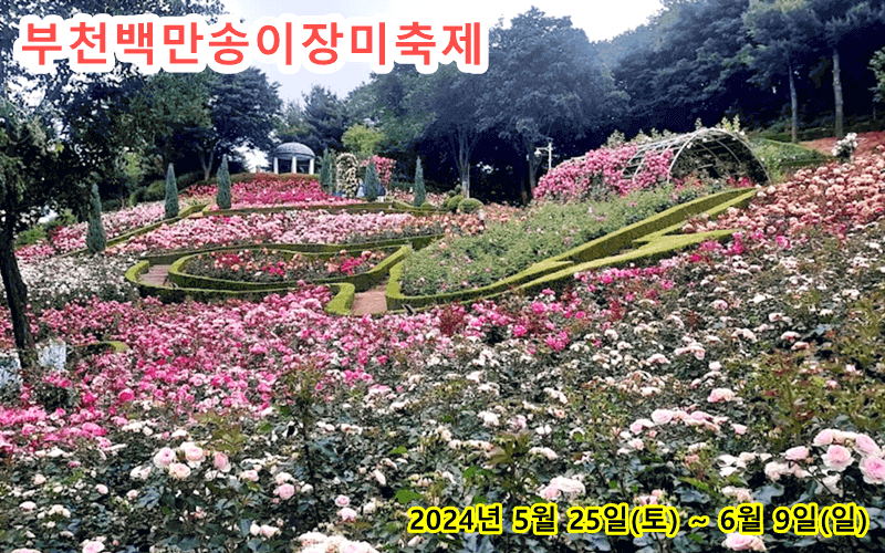 서울근교-가볼만한곳-부천백만송이장미축제