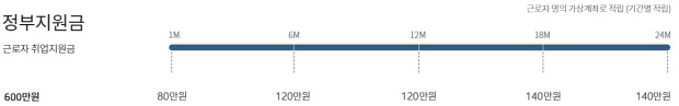 청년 내일채움공제 정부 적립금