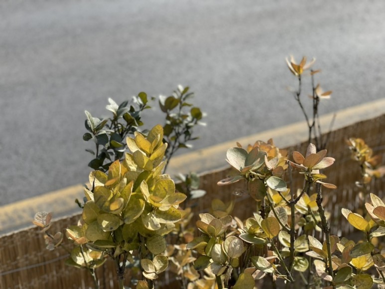 실비보험 갈아타기 육아일기 25