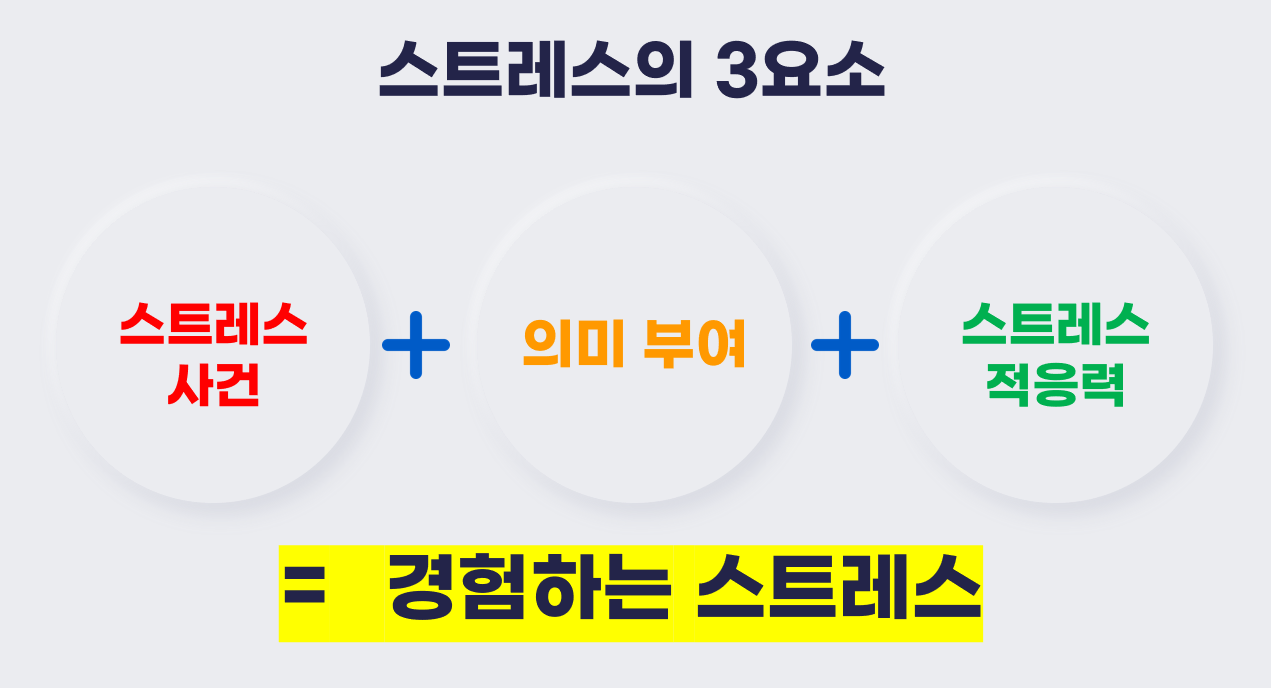  스트레스란? 스트레스 증상 알아보기 [스트레스의 3요소]