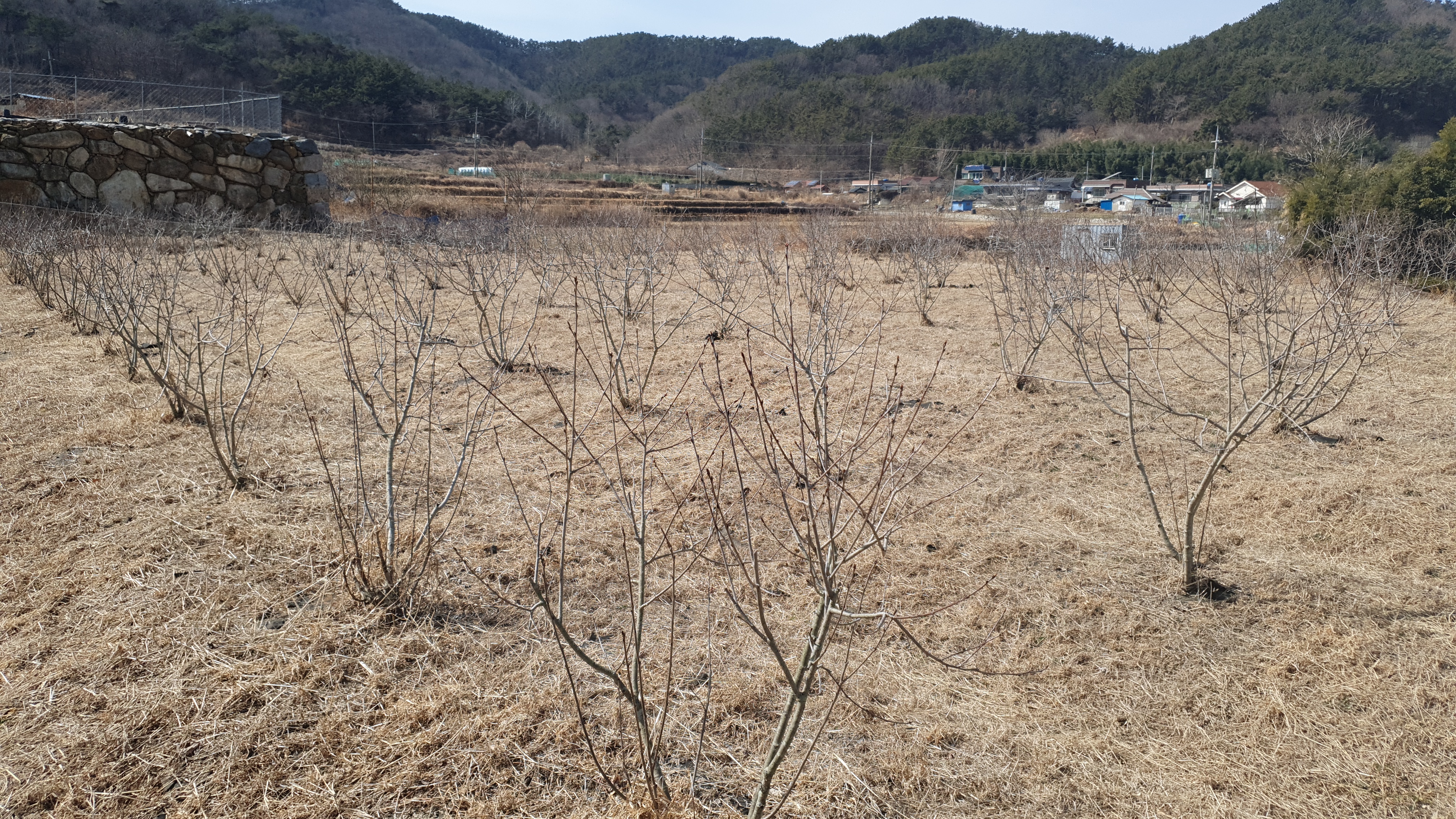  (땅나라 436번) 창원 신마산 댓거리에서 15분, 구산면 바닷가 마을 안쪽 전원주택지 매매 / 문의 055)253-6609