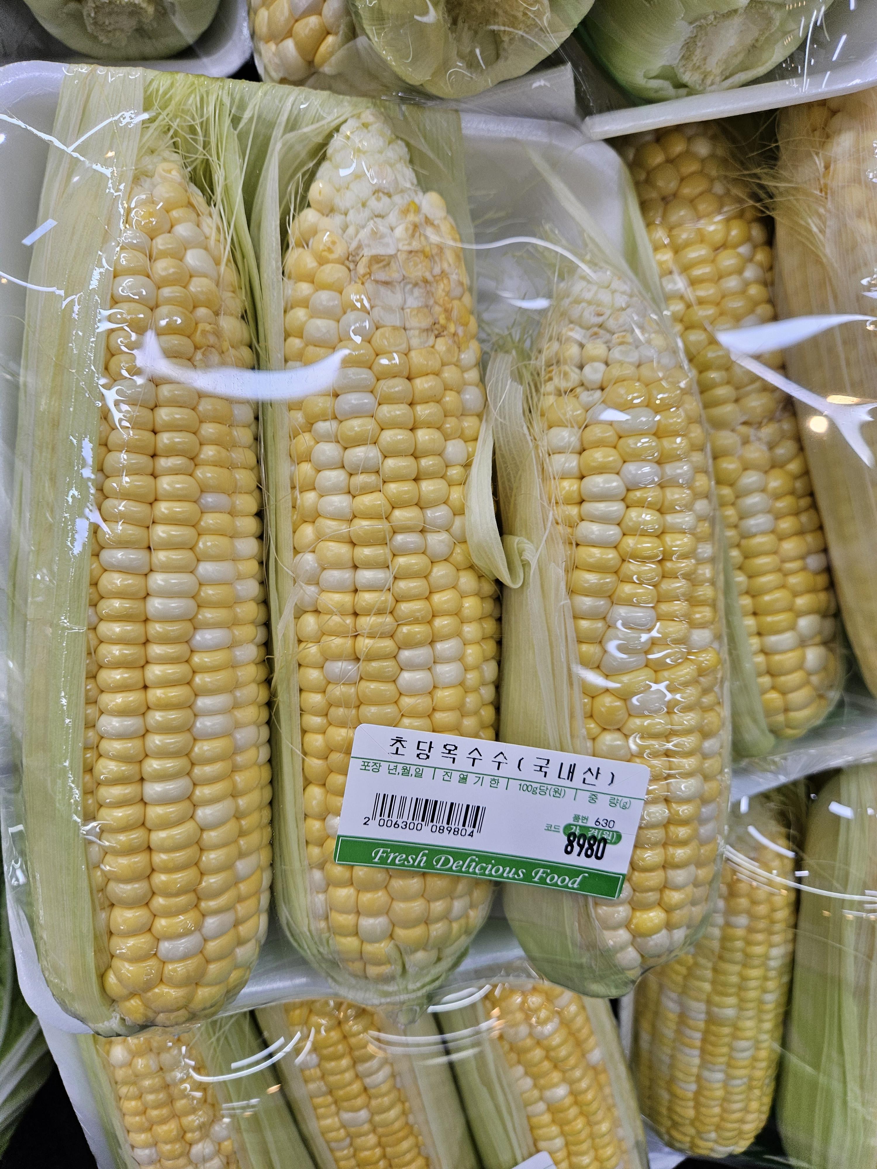 초당옥수수 맛있게 찌는 법 칼로리와 먹는 방법 삶는법 옥수수의 효능