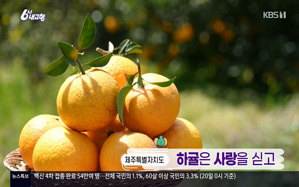 6시 내고향.E7523.220421p-NEXT.mp4_20220507_174232.712.jpg