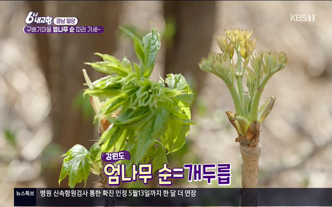 6시 내고향.E7510.220414p.H264-F1RST.mp4_20220419_182252.069.jpg