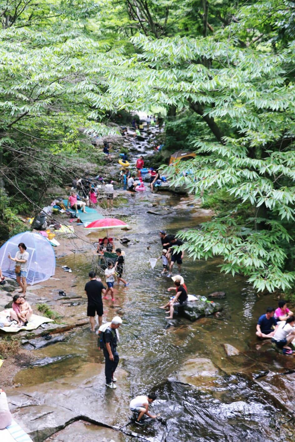 강당골계곡