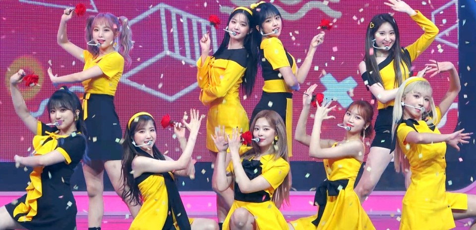 큐리어스 이미지