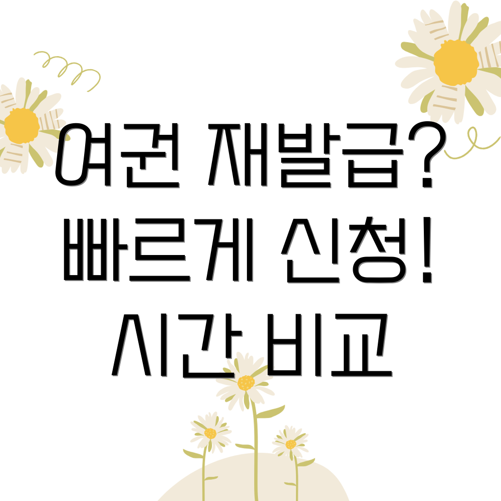 여권 재발급