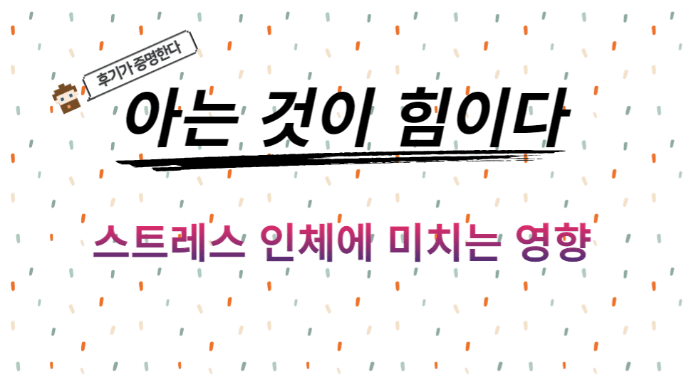  스트레스 증상 및 인체에 미치는 영향 / 시험 스트레스, 공부 스트레스