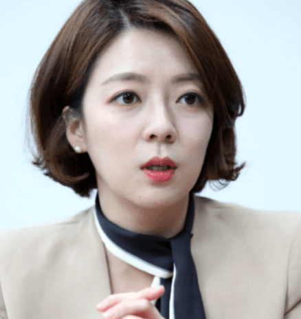 배현진 피습 범인 중학생
