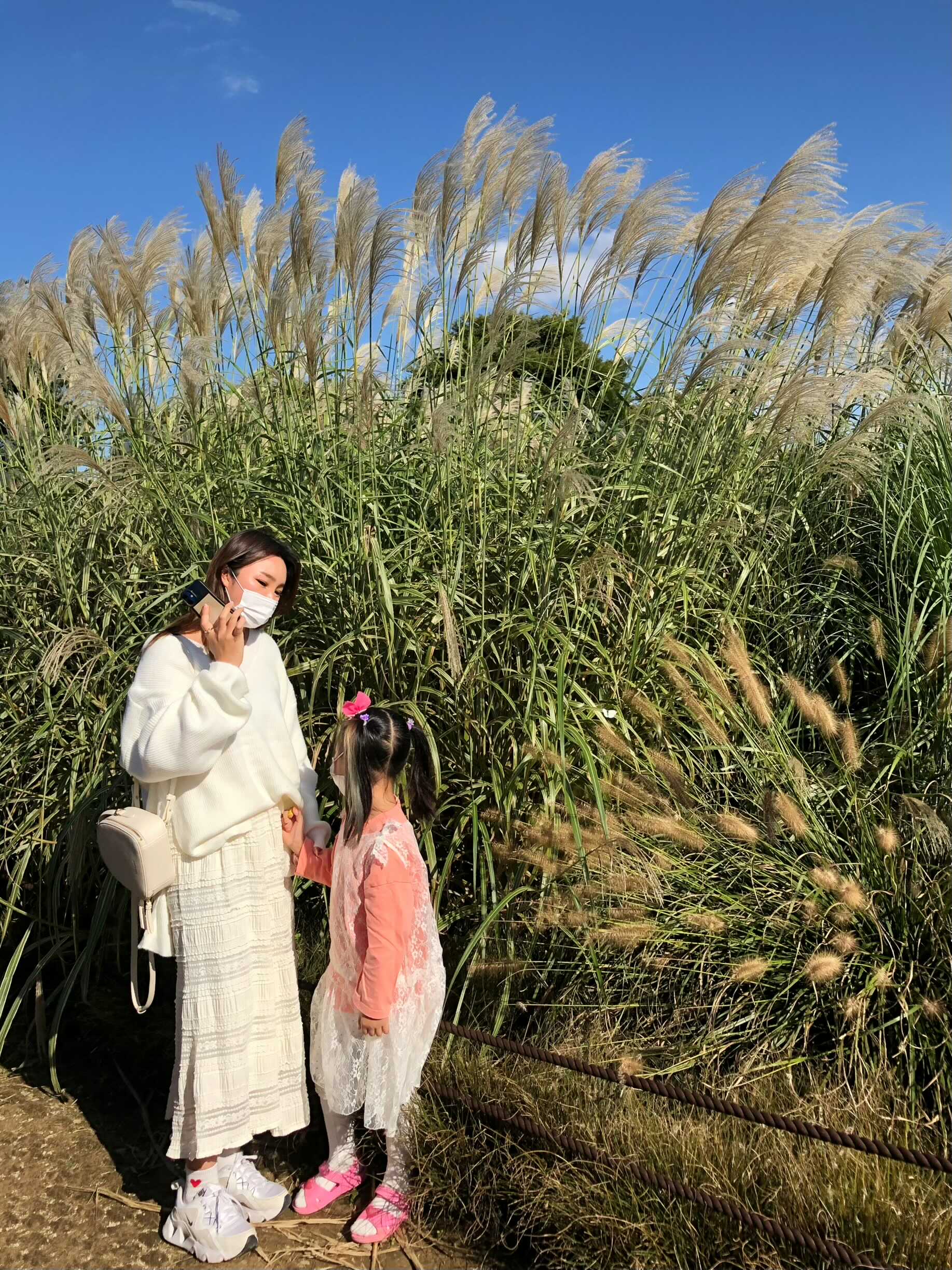  [경북 경주] 핑크뮬리 팜파스갈대 가을 꽃 첨성대 대릉원 산책하기 좋은 곳 부산 근교 아이들이랑 가기 좋은 곳