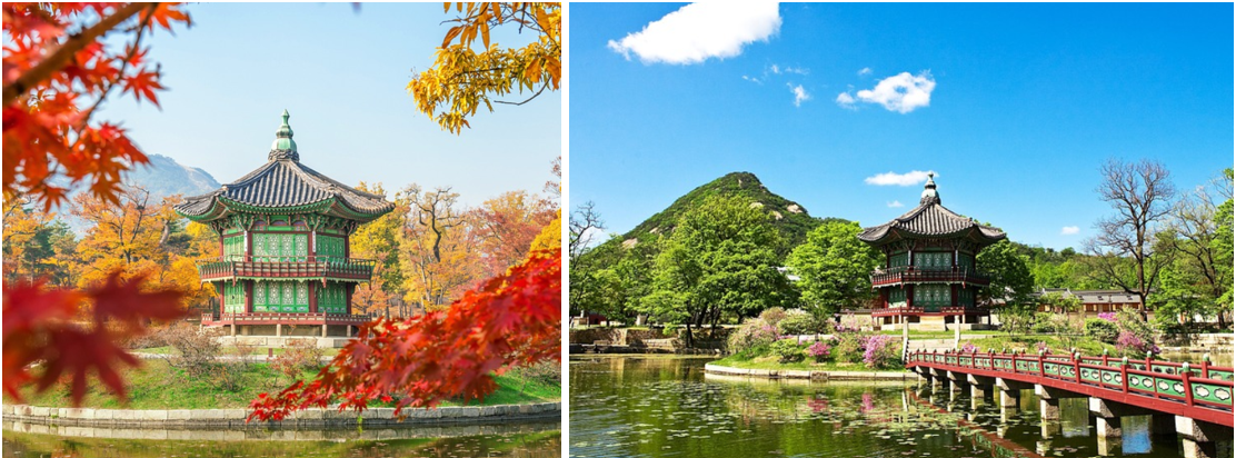 경복궁에서 찍은 사진