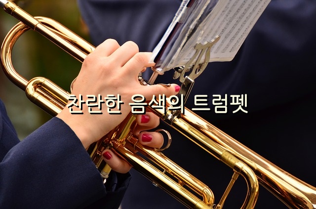  악기론 class 금관악기의 리더 ‘트럼펫’ Trumpet