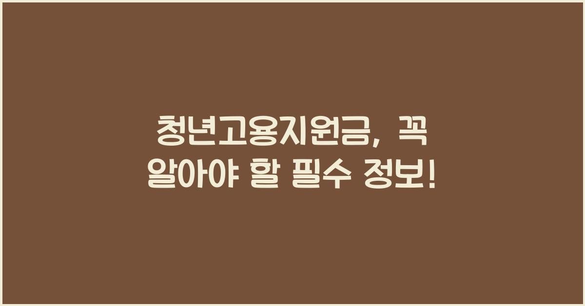 청년고용지원금