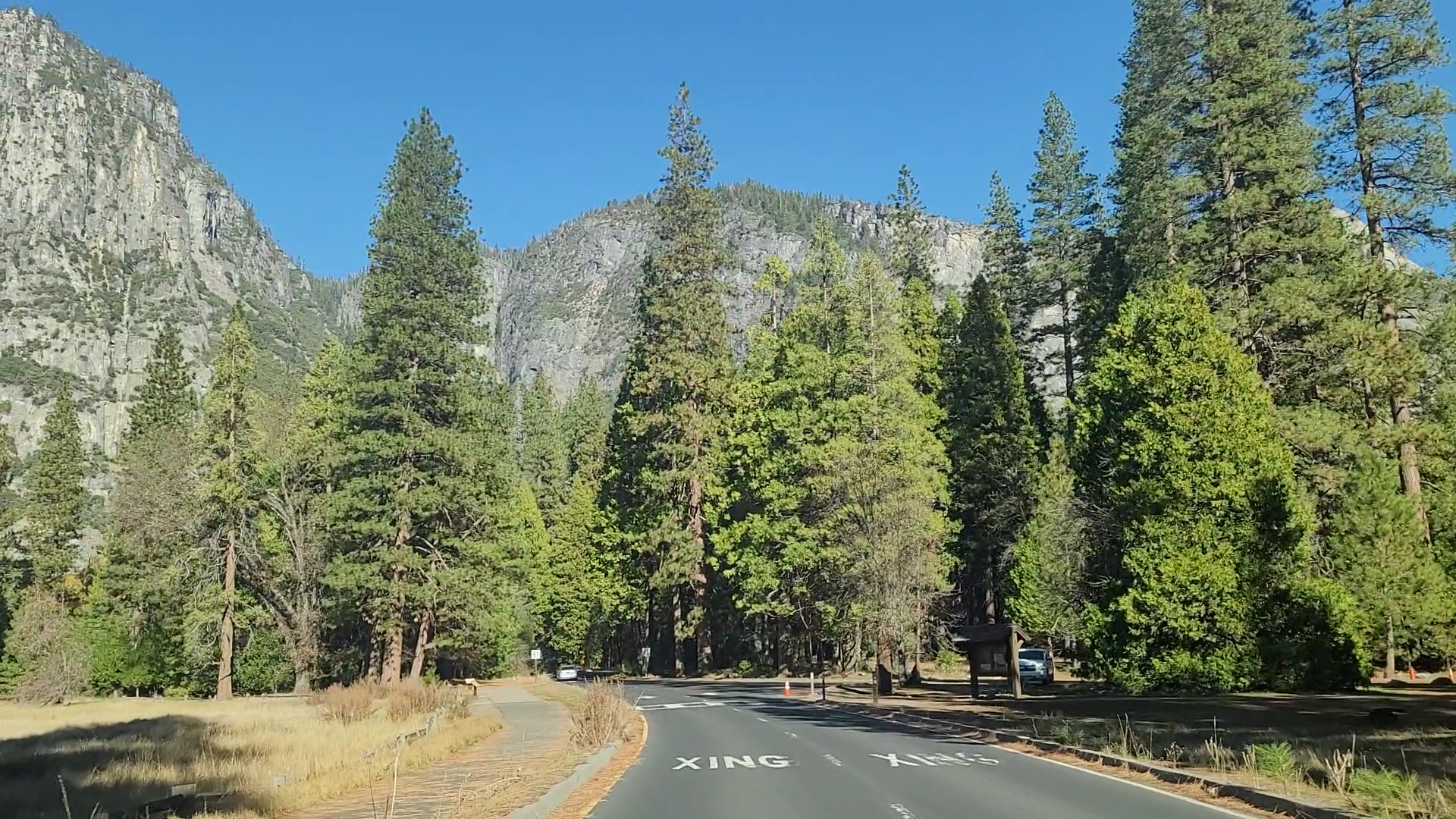 요세미티 국립공원 로드뷰(Yosemite National Park Road View)