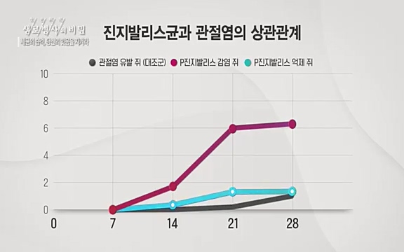 [792회] 생로병사의 비밀 - KBS[세균의 습격, 당신의 잇몸을 지켜라!] 감기보다 병원을 더 자주 찾게 만드는 질병이 있다. 바로 치주질환이다. 2020년 외래 다빈도 질병 1위를 차지한 치은염 및 치주질환 환자는 1,637_20220505_140833.595.jpg