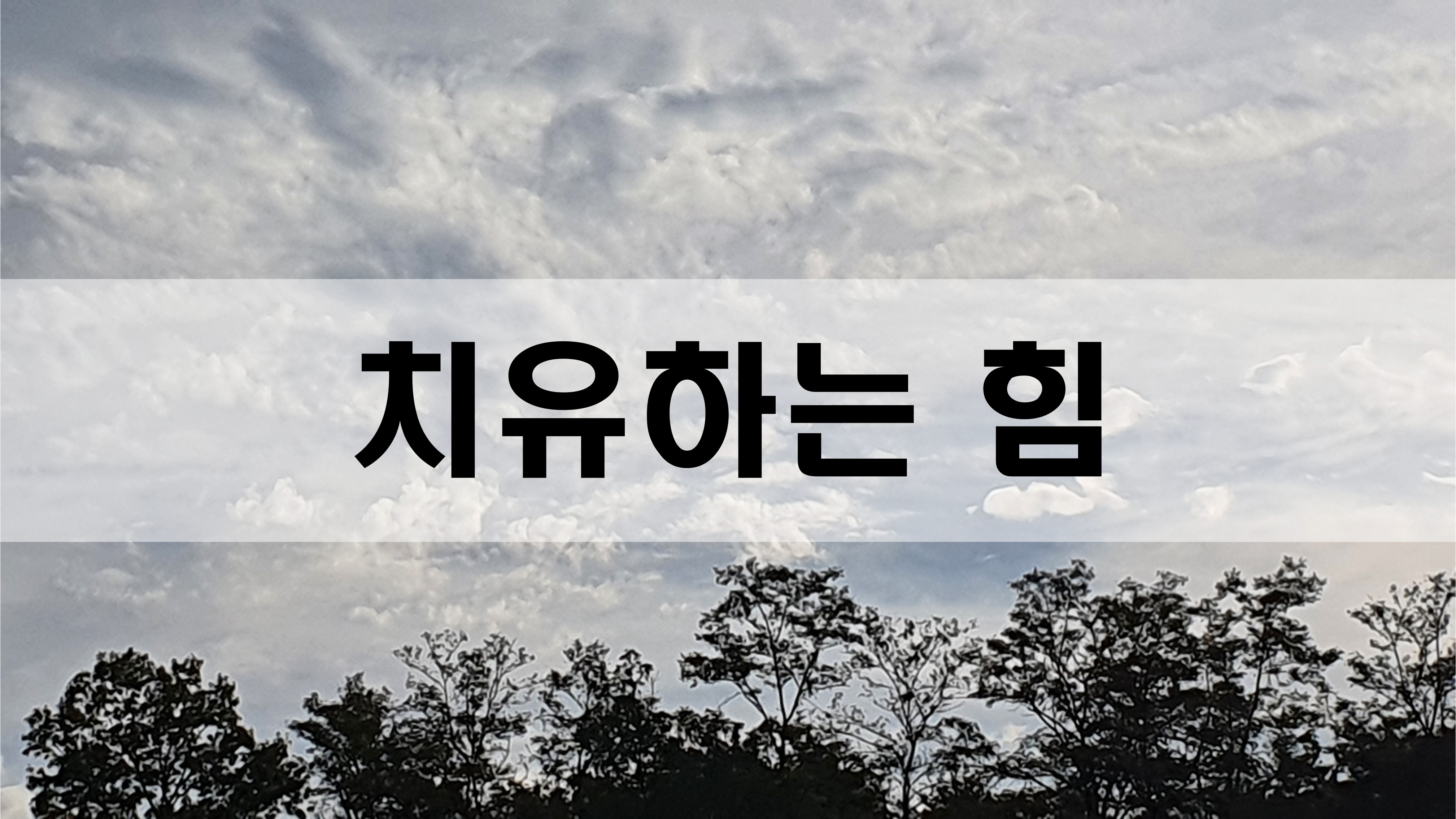  치유하는 힘 [성장 명언]